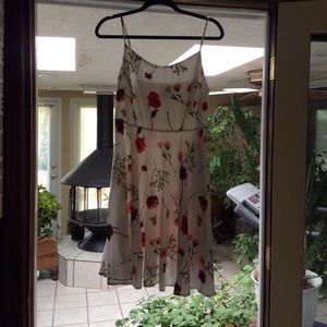 Sweet NWOT Sundress